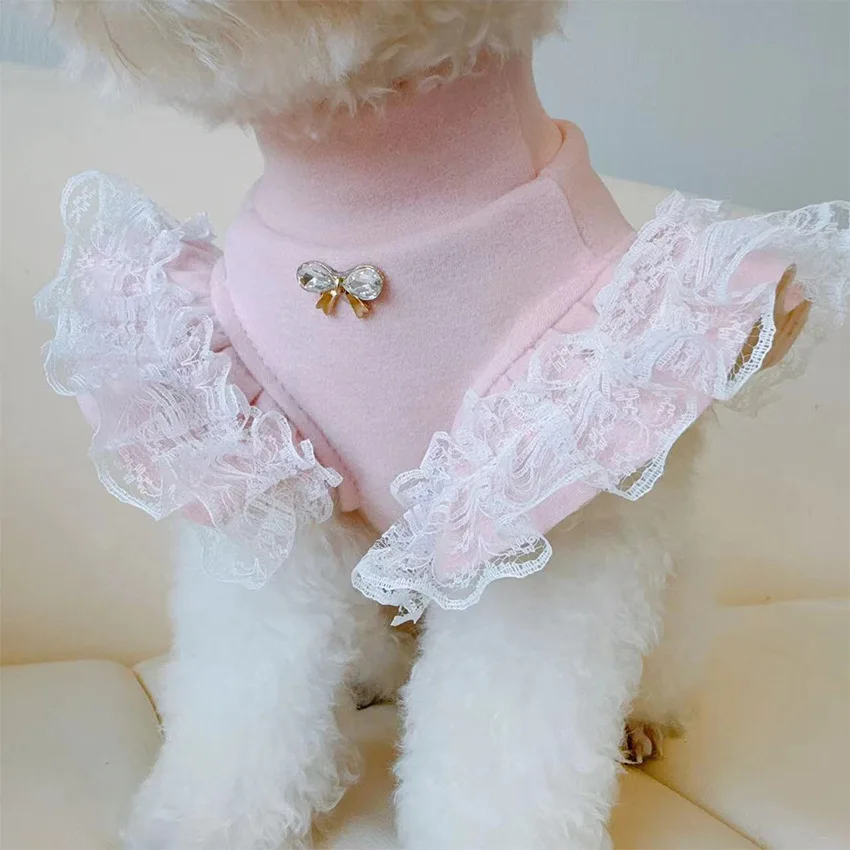Haustierkleidung, Herbst- und  – Lace Teddy Lingerie Bewertung und Preis