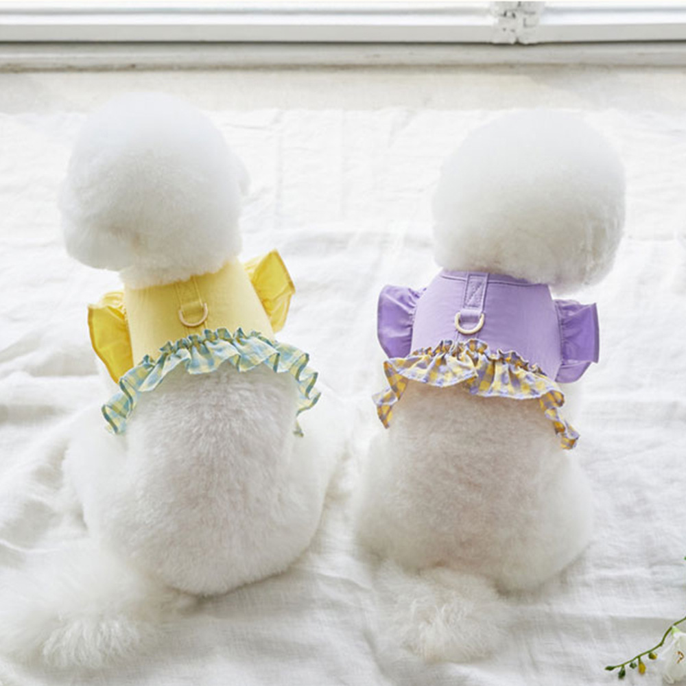 Hundegeschirr mit Farbkontrast – Lace Teddy Lingerie Bewertung und Preis